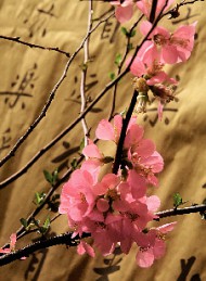 blomster