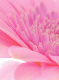 blomster