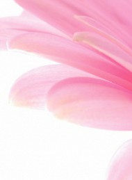 blomster - Bagside