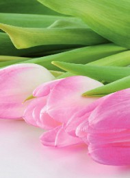 blomster