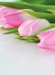 blomster - Bagside