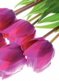 blomster