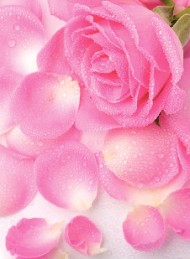 blomster