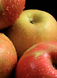 Frugt