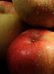 Frugt - Bagside