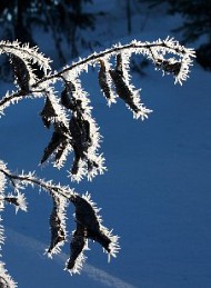 vinter