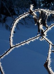 vinter - Bagside