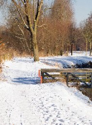 vinter - Bagside