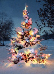 Jul
