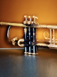 musik - Bagside
