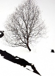 vinter