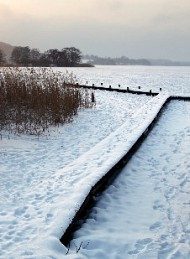 vinter