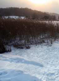 vinter - Bagside