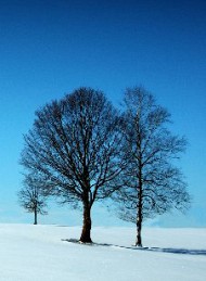 vinter