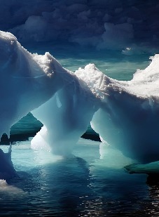 Vinter