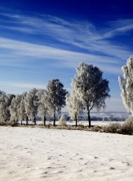 vinter - Bagside