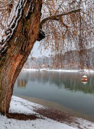 vinter
