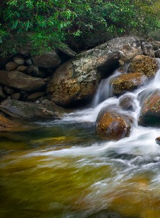 natur - Bagside