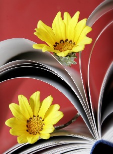 blomster