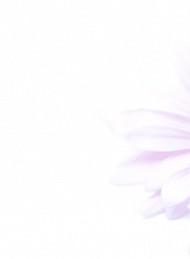 blomster - Bagside