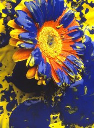 blomster