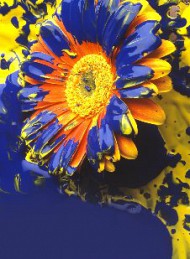 blomster - Bagside