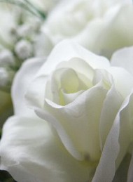 blomster