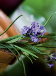blomster
