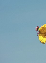 blomster - Bagside