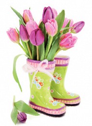 tulipan