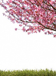 natur - Bagside