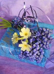 blomster