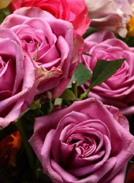 blomster
