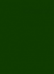 begravelse tekst - Bagside