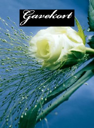 Gavekort
