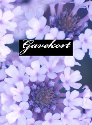 Gavekort