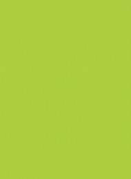 I dagens anledning - Bagside