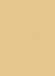 I dagens anledning - Bagside