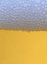 I dagens anledning - Bagside