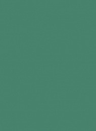 I dagens anledning - Bagside