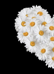 God bedring - Bagside