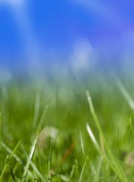 Jeg savner dig - Bagside