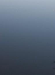 Jeg savner dig - Bagside