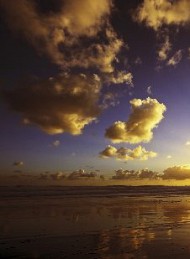 Jeg savner dig - Bagside