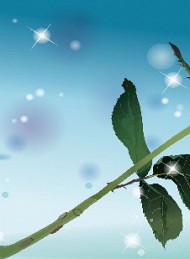 Jeg savner dig - Bagside