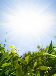 Jeg savner dig - Bagside