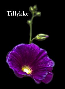 Tillykke