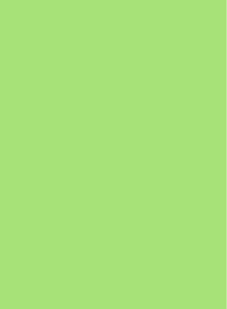 neutral - Bagside