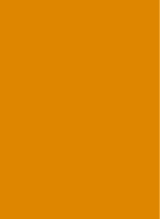 neutral - Bagside