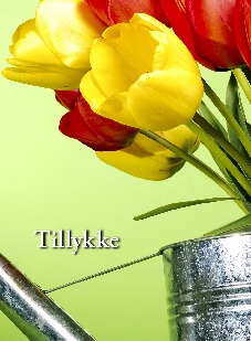 tillykke